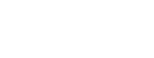 Stanger Insurance LLC - Logo 800 White